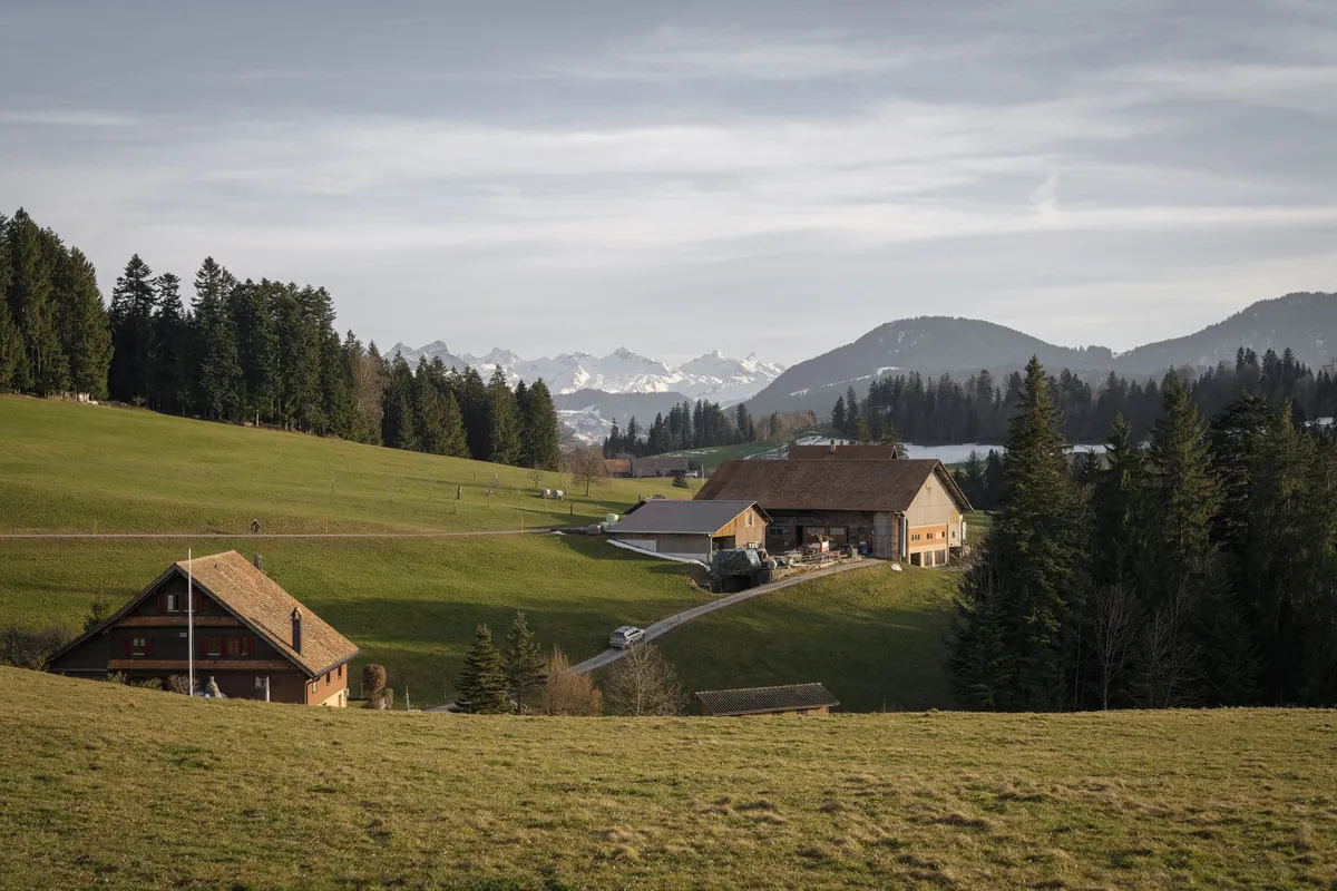 Manzara – Dolomit manzarası eşliğinde Seiser Alm