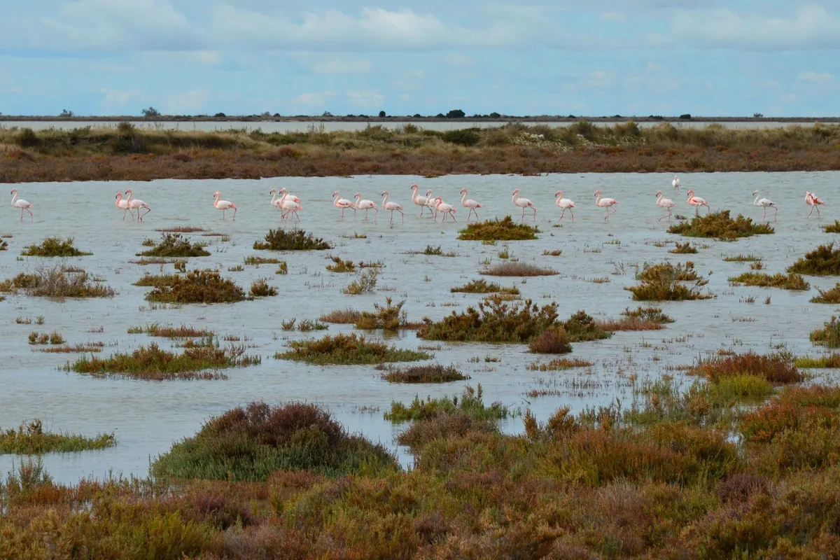 Doğa – Parque Natural de Ses Salines