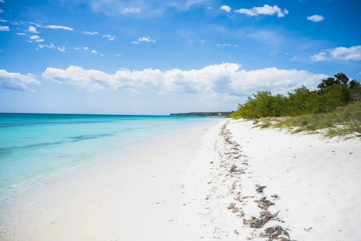 Plaj – Lady’s Mile Beach