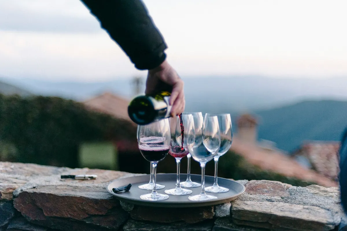 Şarap – Rheingau Bağları