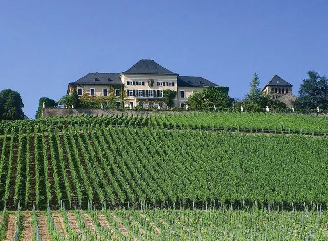 Akzent Waldhotel Rheingau – Zimmer & Suiten, Erwachsenenhotel in Hessen