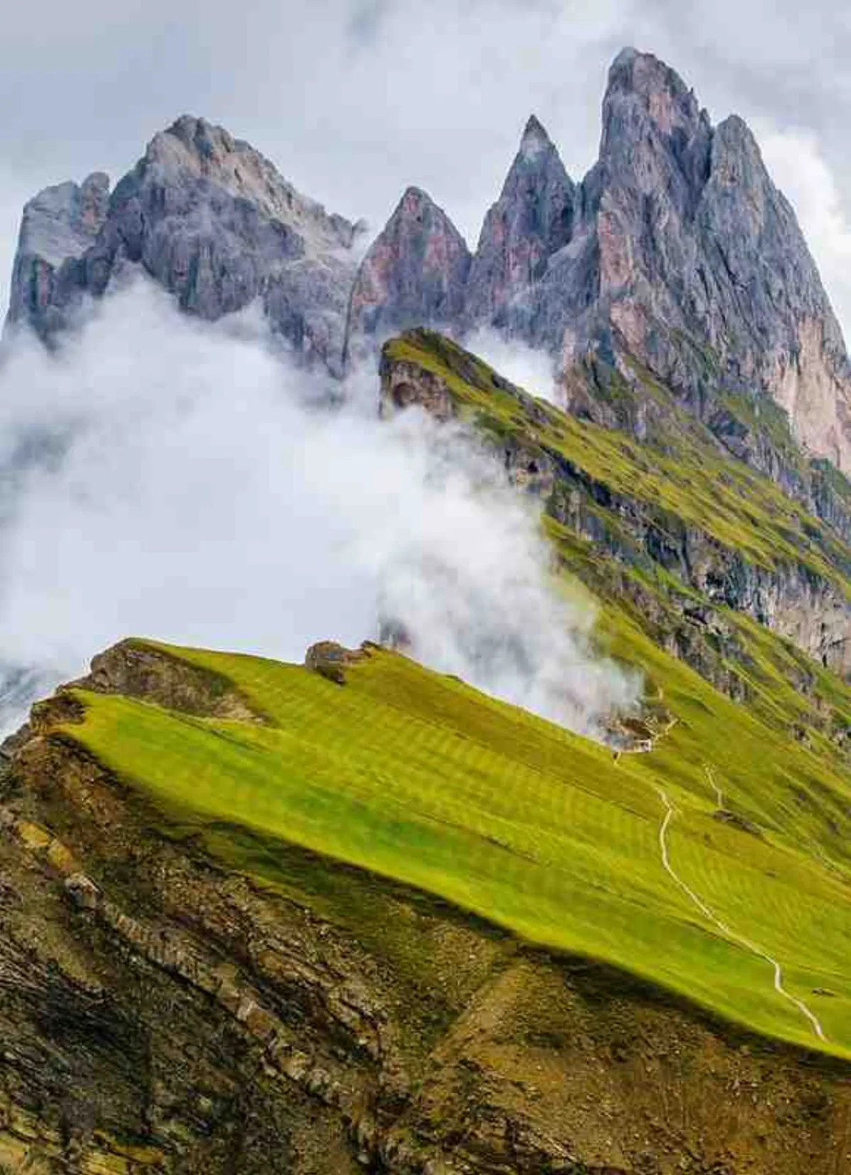 Alpin Garden Luxury Maison & Spa – Chambres & suites, Adults-Only Hotel in Südtirol