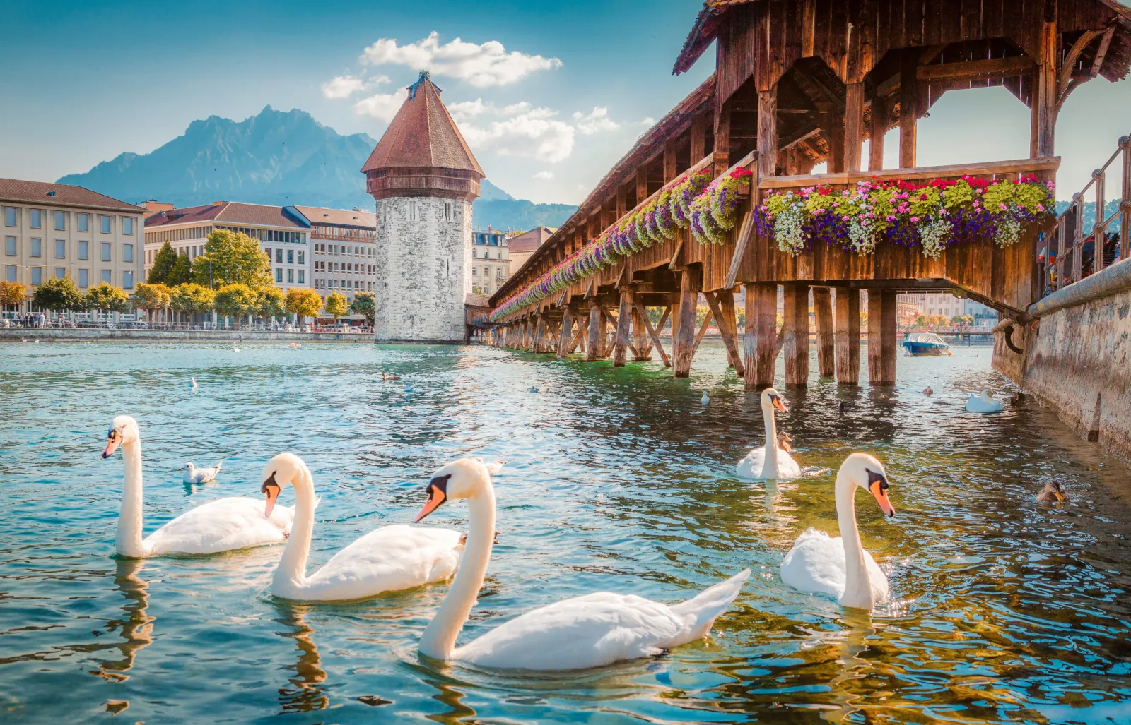 Altstadt Hotel Magic Luzern – Adults-Only Hotel in Zentralschweiz, CH