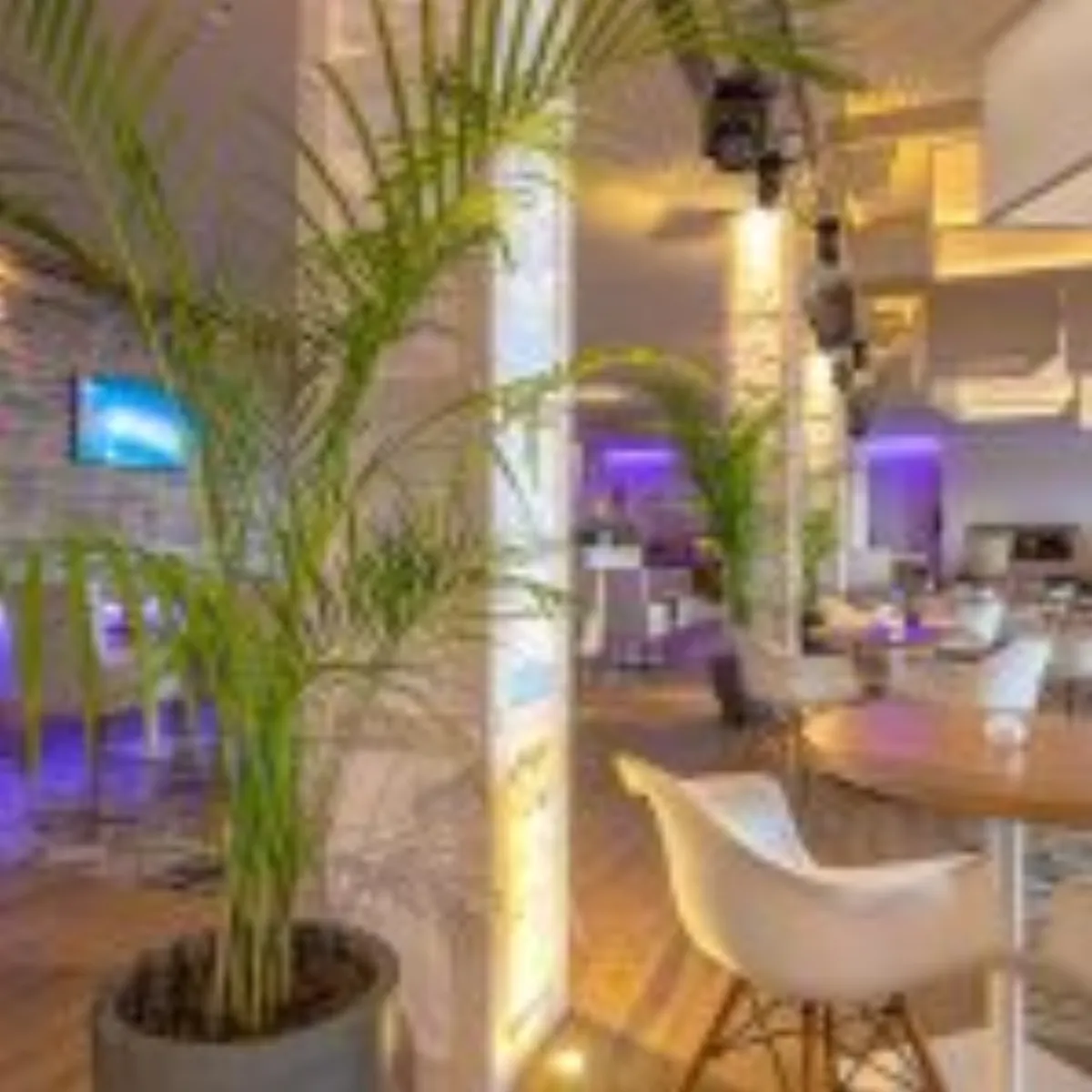 Amare Beach Hotel Marbella – Chambres & suites, Adults-Only Hotel in Costa del Sol