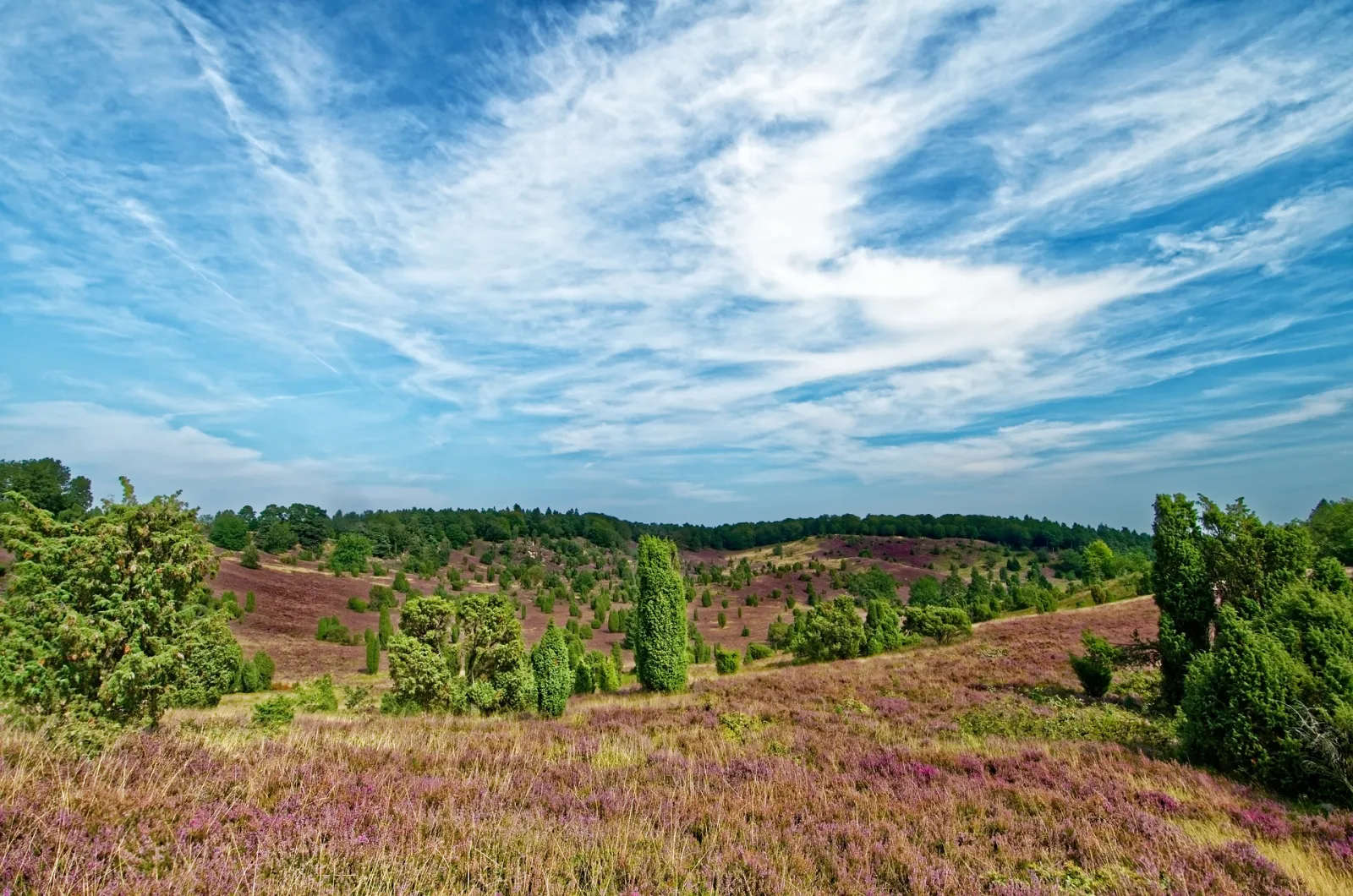 Amethyst Hotel Garni – Vue extérieure, Adults-Only Hotel in Niedersachsen
