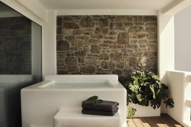 Suite Premium avec bassin d'immersion — Aya Resort