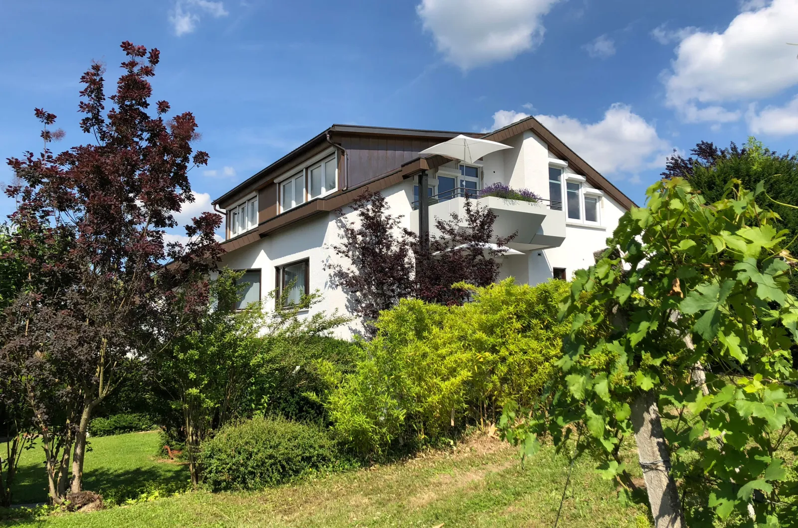 Boutique-Hotel im Weingarten – Pool & Spa, Adults-Only Hotel in Baden-Württemberg