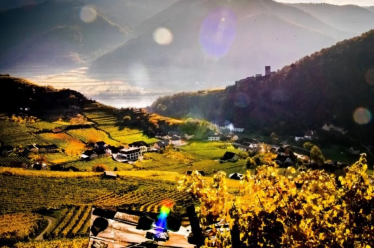 Boutiquehotel WEINSPITZ Wachau – Restaurant & Genuss, Adults-Only Hotel in Niederösterreich