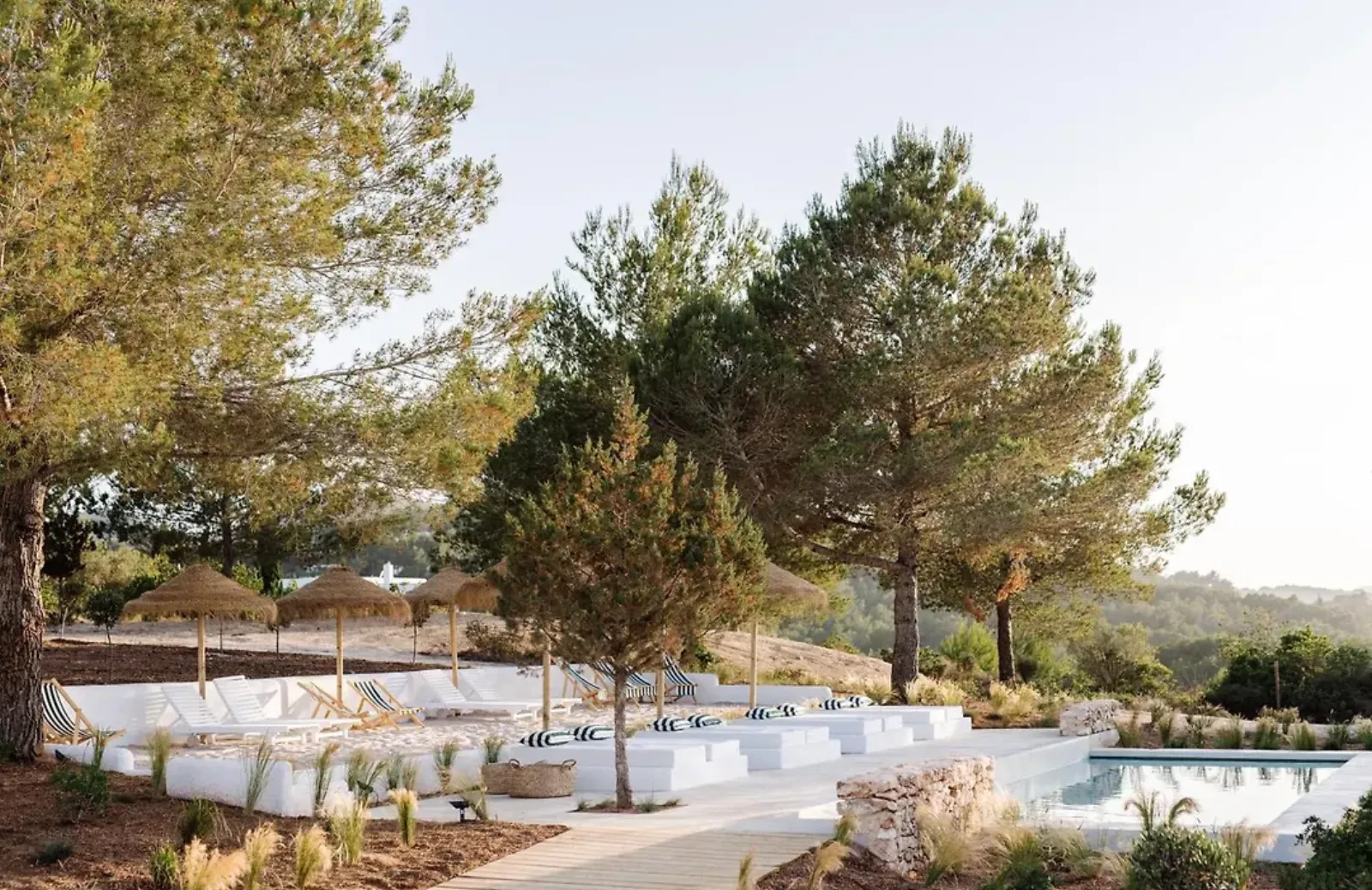 Can Domo – Restaurant & gastronomie, Adults-Only Hotel in Ibiza