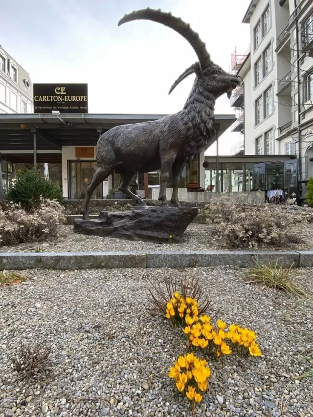 Carlton-Europe Vintage Adults Hotel – Pool & Spa, Erwachsenenhotel in Berner Oberland