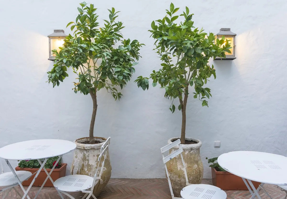 Casa Shelly Hospederia – Zimmer & Suiten, Erwachsenenhotel in Andalusien