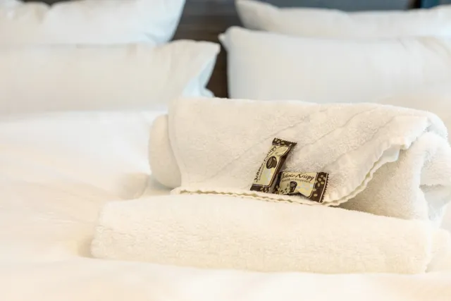 Basic Çift Kişilik Oda — Central Hotel & Lounge Adult Only