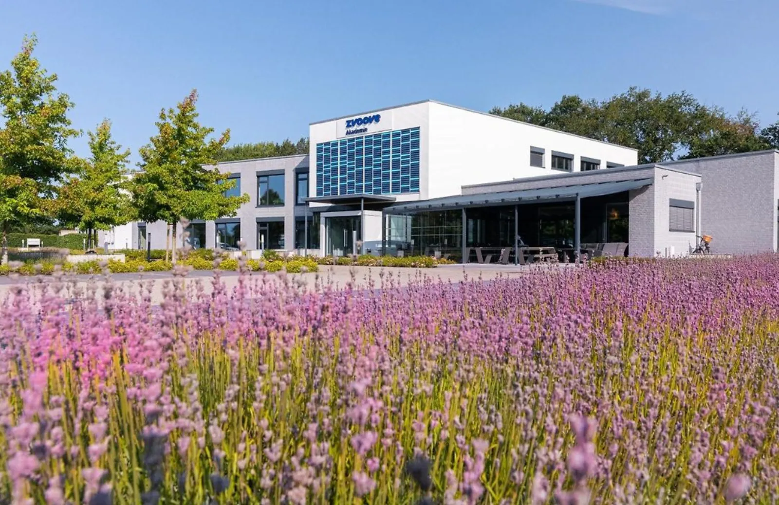 Gästehaus der zvoove Akademie – Restaurant & gastronomie, Adults-Only Hotel in Niedersachsen