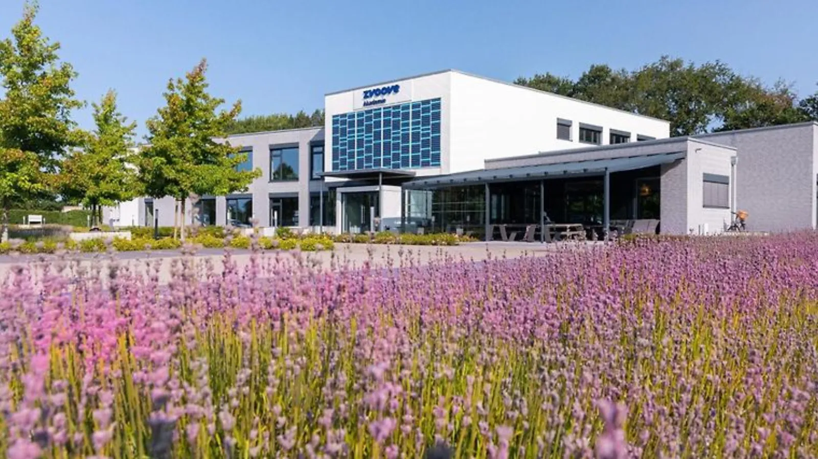 Gästehaus der zvoove Akademie – Adults-Only Hotel in Niedersachsen, DE