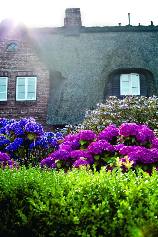 Hotel Aarnhoog – Piscina & Spa, Adults-Only Hotel in Schleswig-Holstein