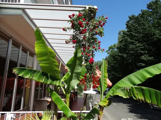 Hotel Excelsior – Außenansicht, Erwachsenenhotel in Tessin