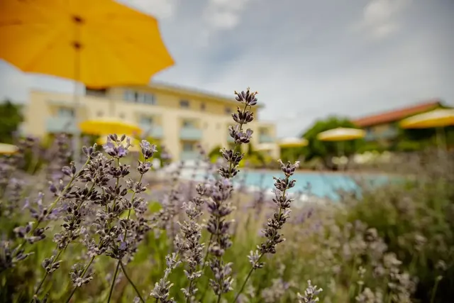 Hotel Garni Toscanina - Adults Only – Pool & Spa, Erwachsenenhotel in Steiermark