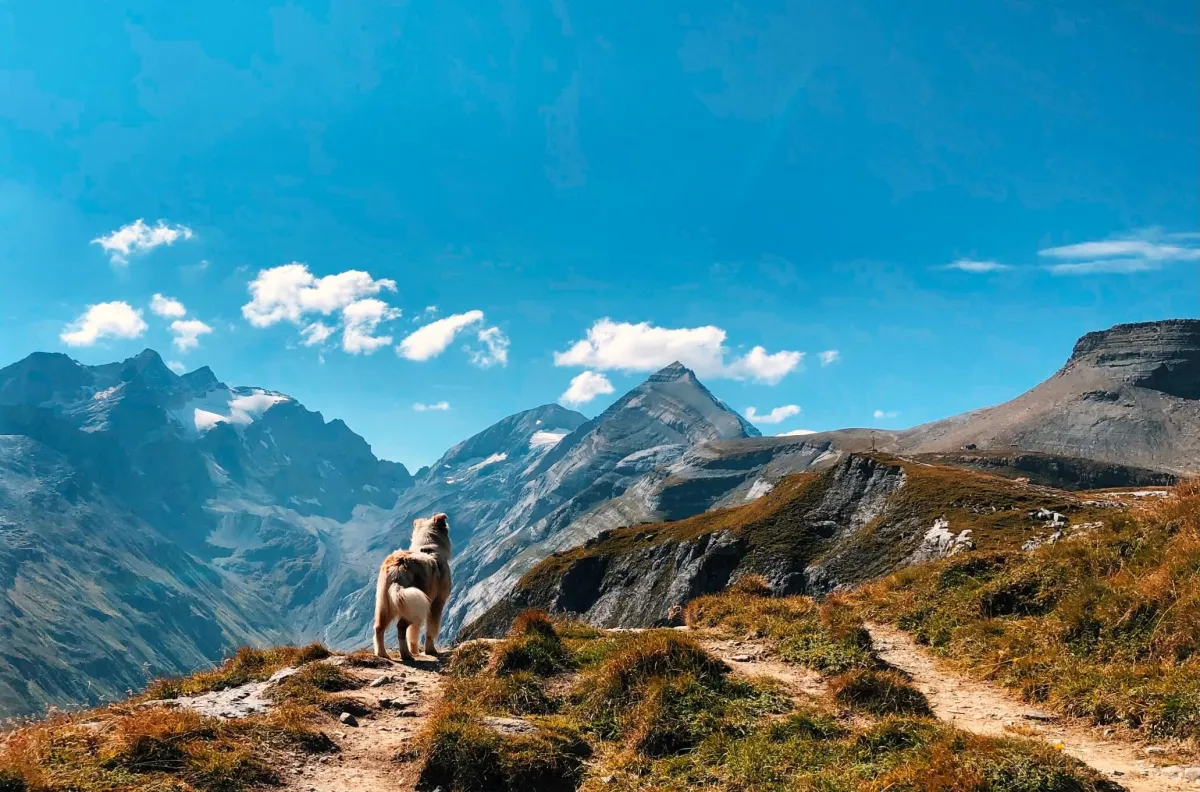 Hotel Mulin by Amanthos - Adults Only – Pool & Spa, Adults-Only Hotel in Graubünden