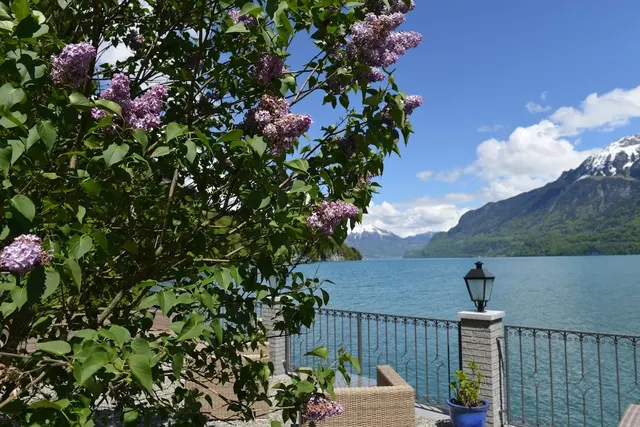 Hotel Seeburg - Adults only – Pool & Spa, Erwachsenenhotel in Berner Oberland