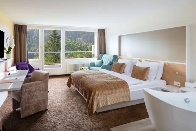 Deluxe dobbeltværelse — Hotel Waldegg - Adults only
