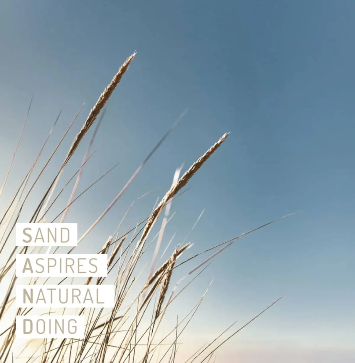 Lifestylehotel Sand (SANDglow) – Außenansicht, Adults-Only Hotel in Schleswig-Holstein