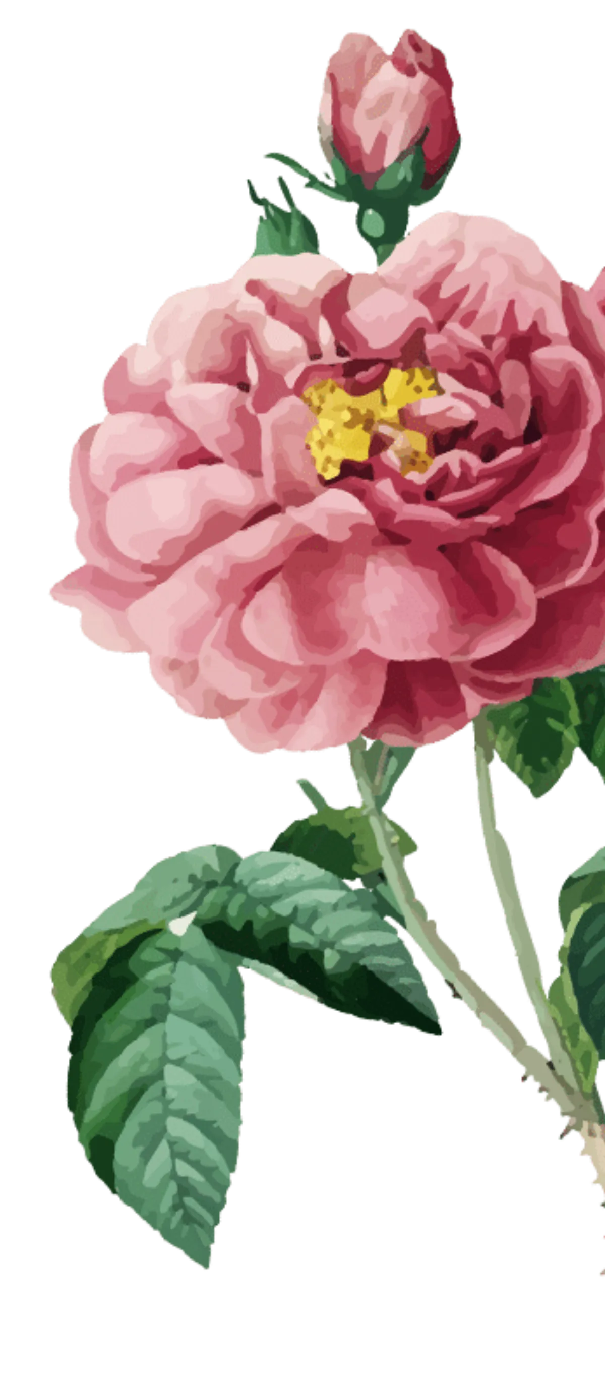 Maiers Kuschelhotel Loipersdorf – Außenansicht, Adults-Only Hotel in Burgenland