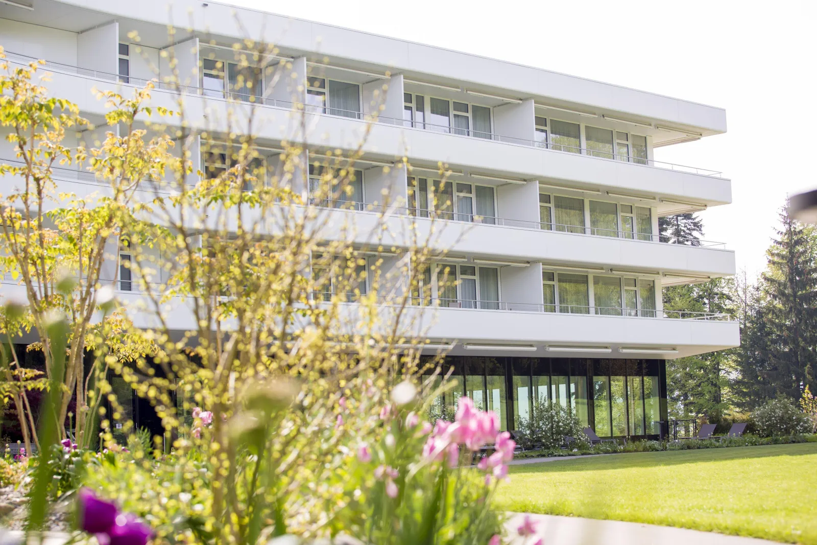 Oberwaid - Das Hotel – Adults-Only Hotel in Ostschweiz, CH