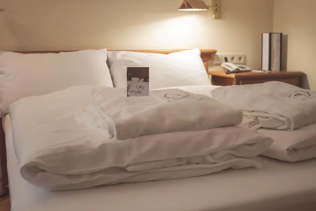 Superior-Einzelzimmer — REDUCE Hotel Thermal