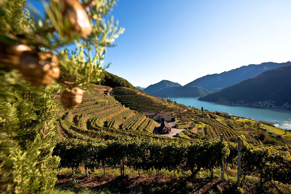 Relais Castello di Morcote - Adults only – Restaurant & gastronomie, Adults-Only Hotel in Tessin