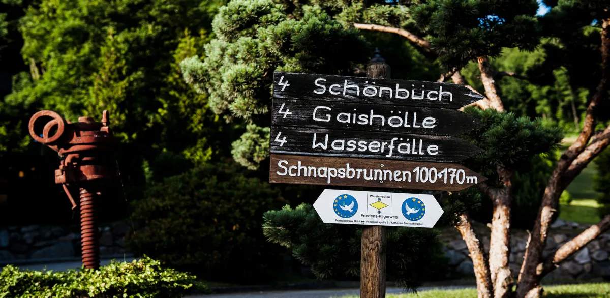 RelaxHotel Tannenhof – Pool & Spa, Adults-Only Hotel in Baden-Württemberg