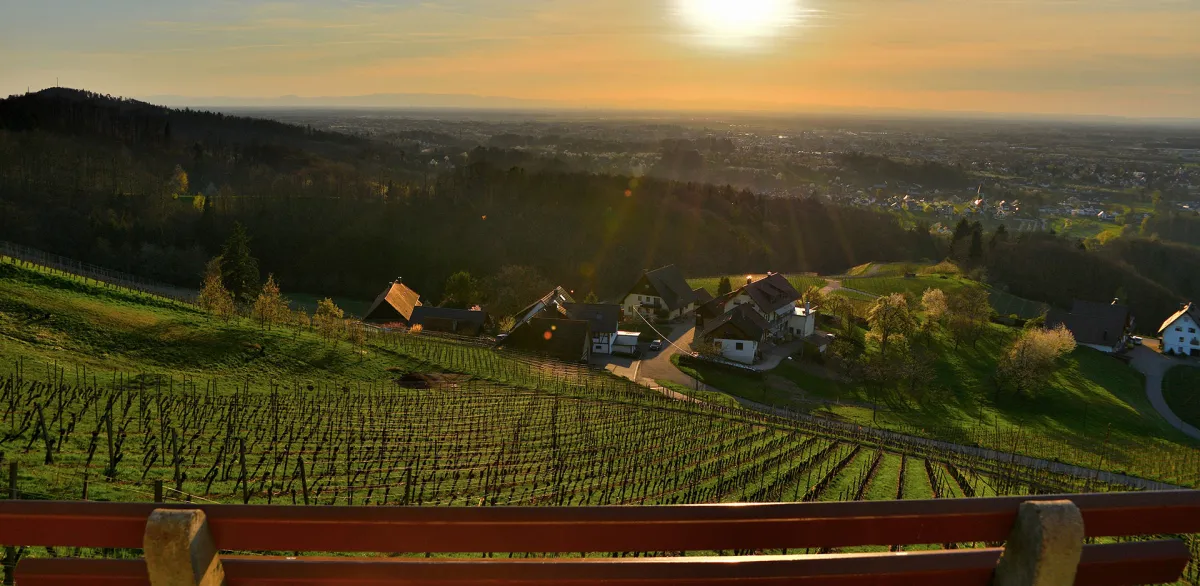 RelaxHotel Tannenhof – Restaurant & Genuss, Adults-Only Hotel in Baden-Württemberg