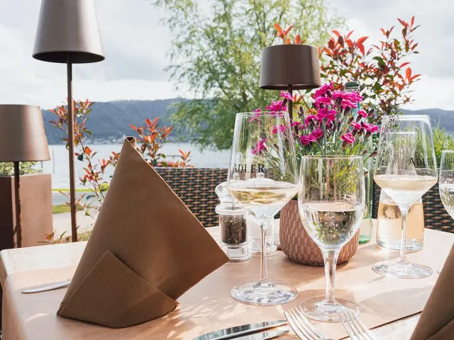 Seehotel Adler – Restaurant & Genuss, Erwachsenenhotel in Baden-Württemberg