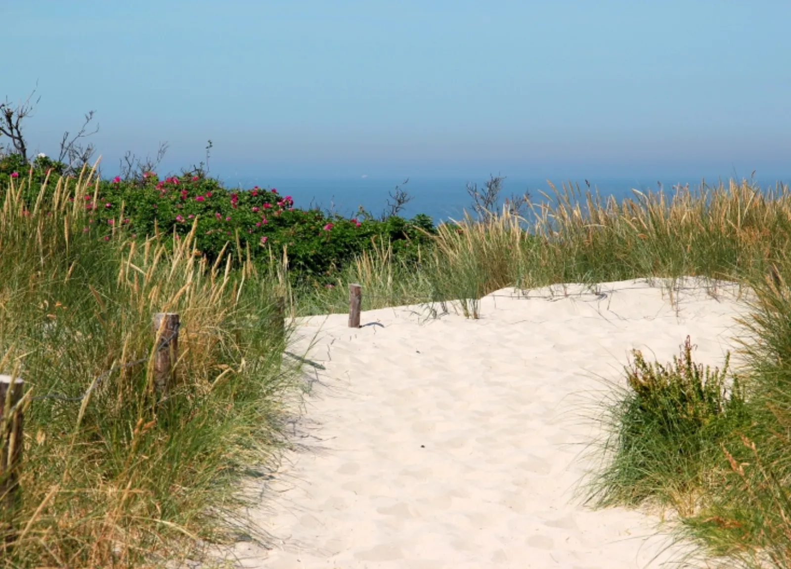 Suiten-Hotel mare – Zimmer & Suiten, Adults-Only Hotel in Niedersachsen
