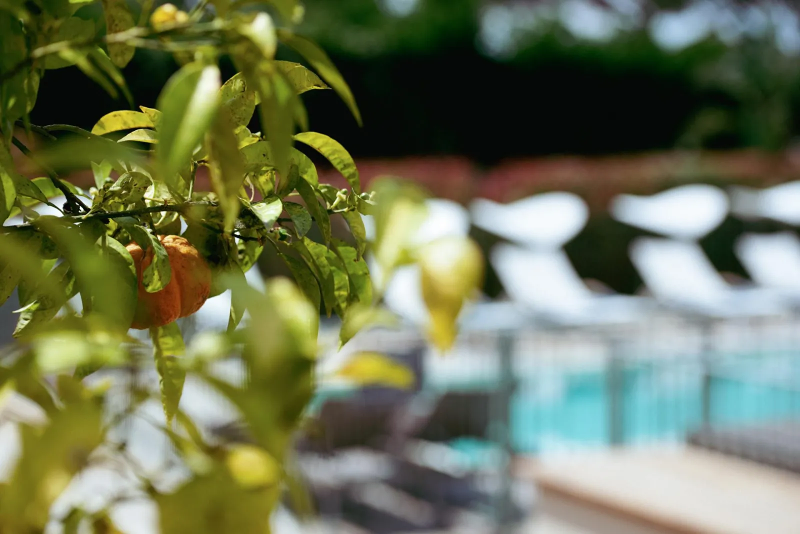 Villa Fabulite – Außenansicht, Adults-Only Hotel in Côte d'Azur