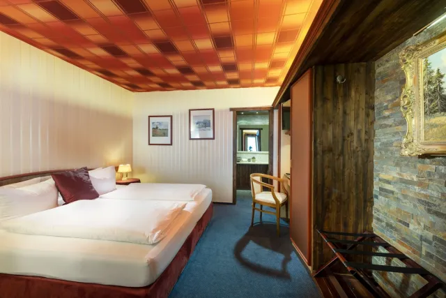 Comfort tweepersoonskamer met 1 queensize bed — Wellnesshotel Seeschlößchen — Privat-Spa & Naturresort