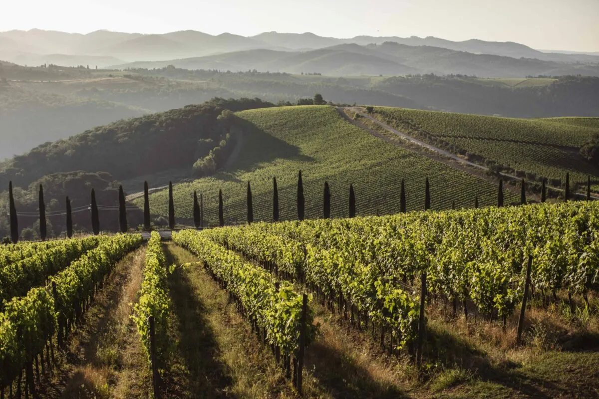 Wine Resort Dievole – Adults-Only Hotel in Toskana, IT