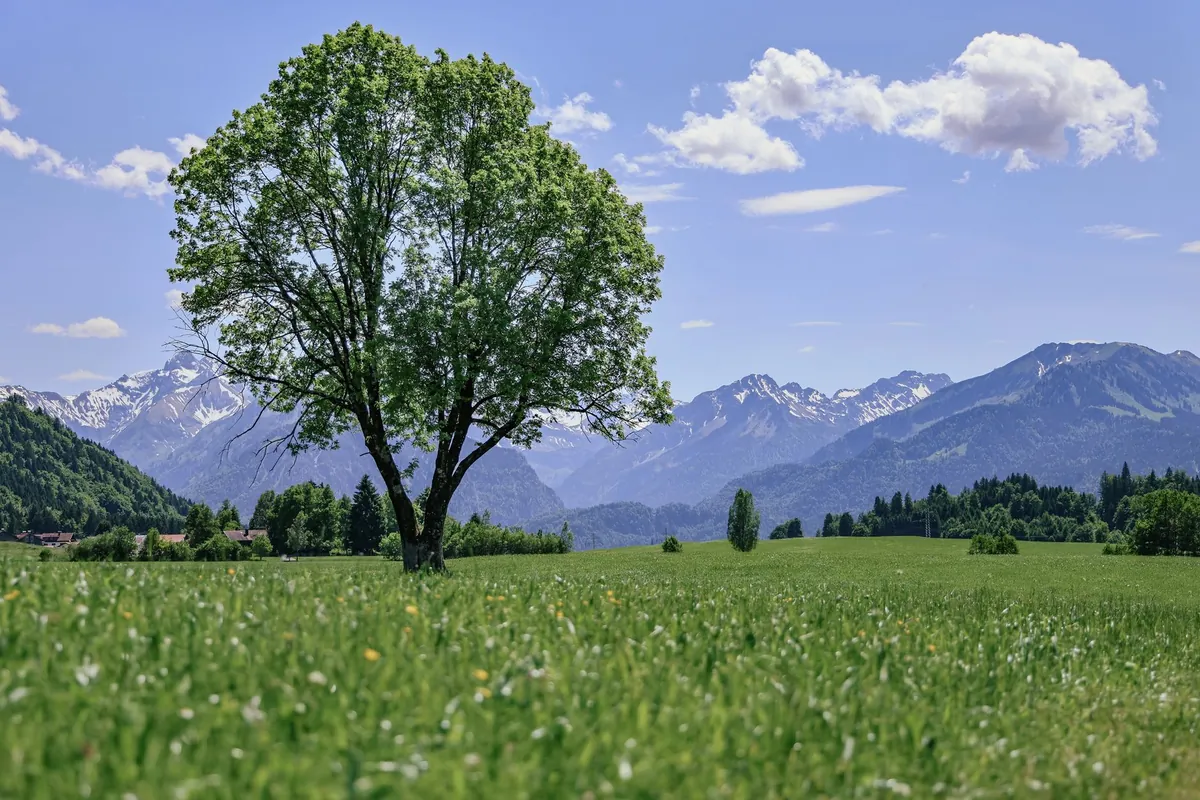 Erwachsenenhotel Allgäu – Deine Auszeit in paradiesischer Ruhe
