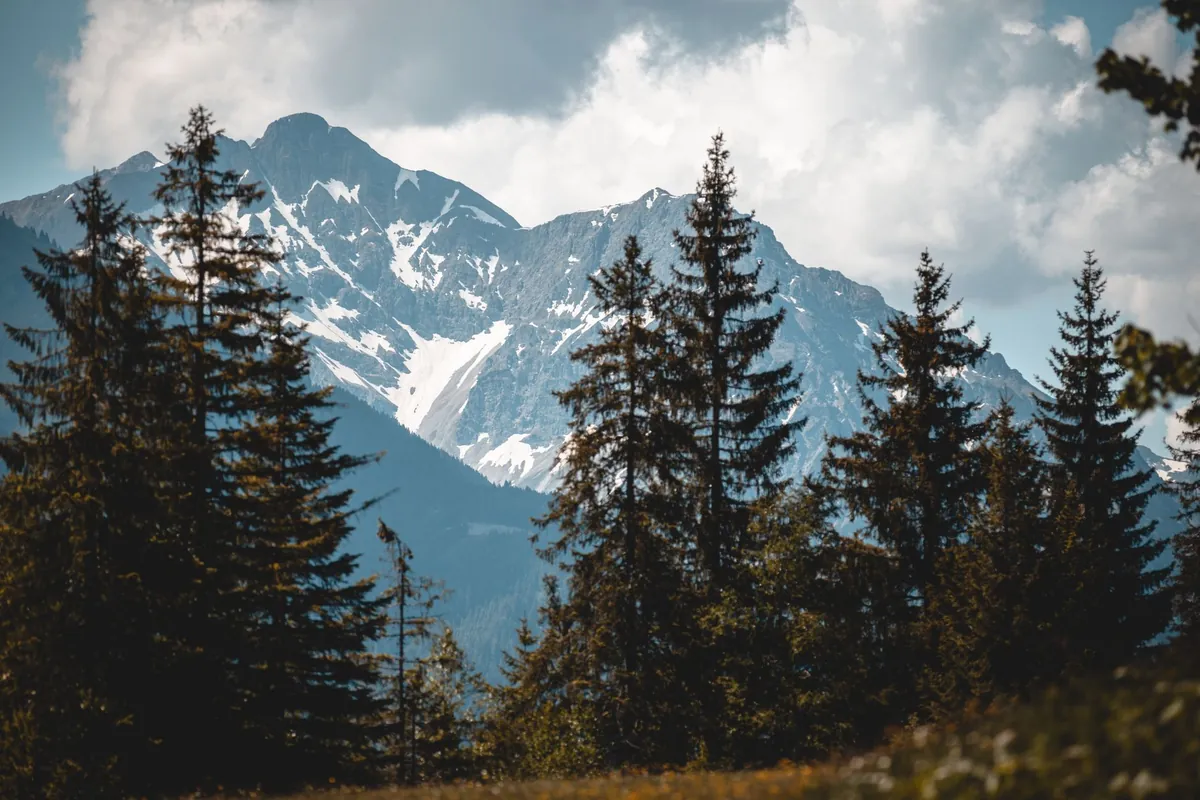 Adults-Only Hotel Tirol: Wo Paare ungestört bleiben