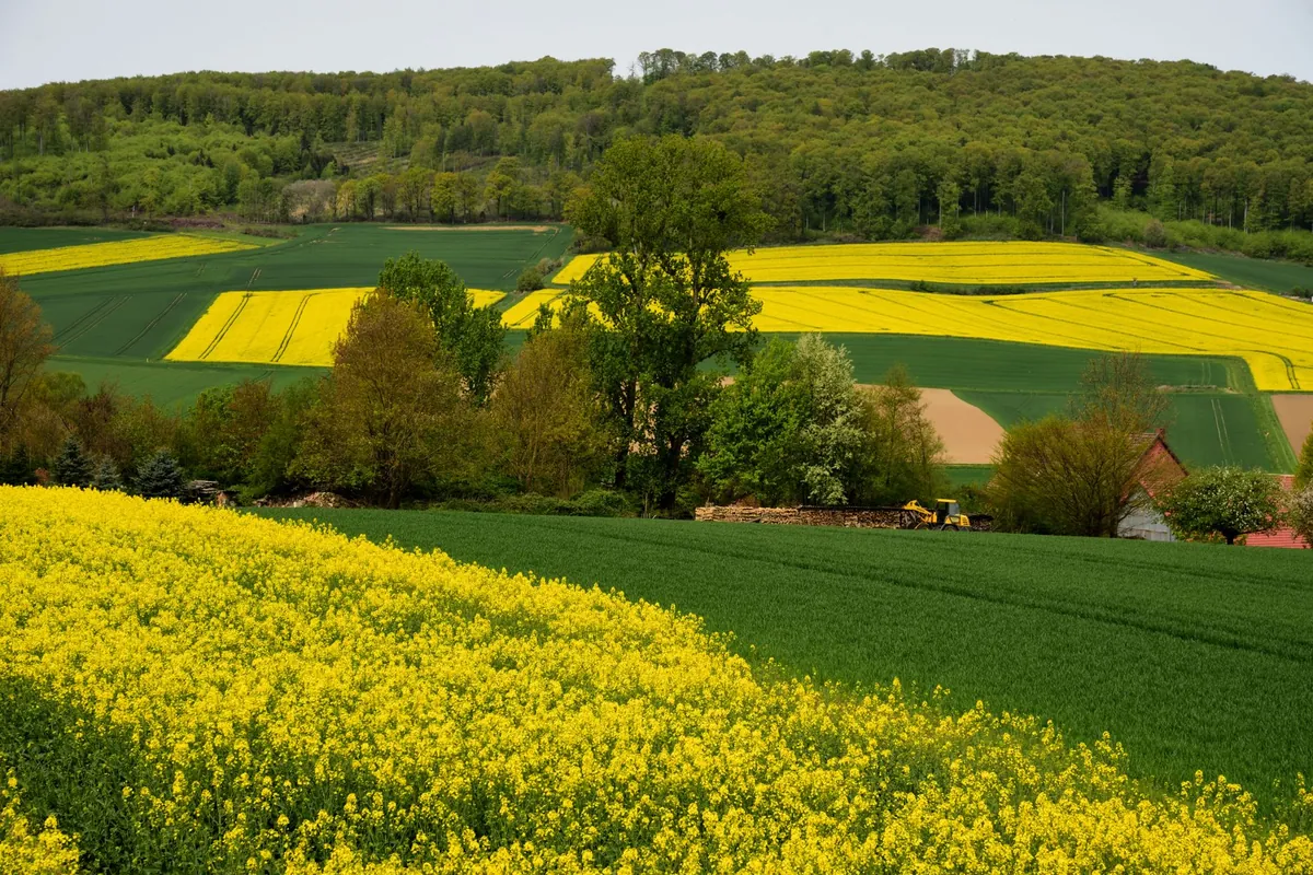 Niedersachsen – Erwachsenenhotels & Adults-Only Hotels
