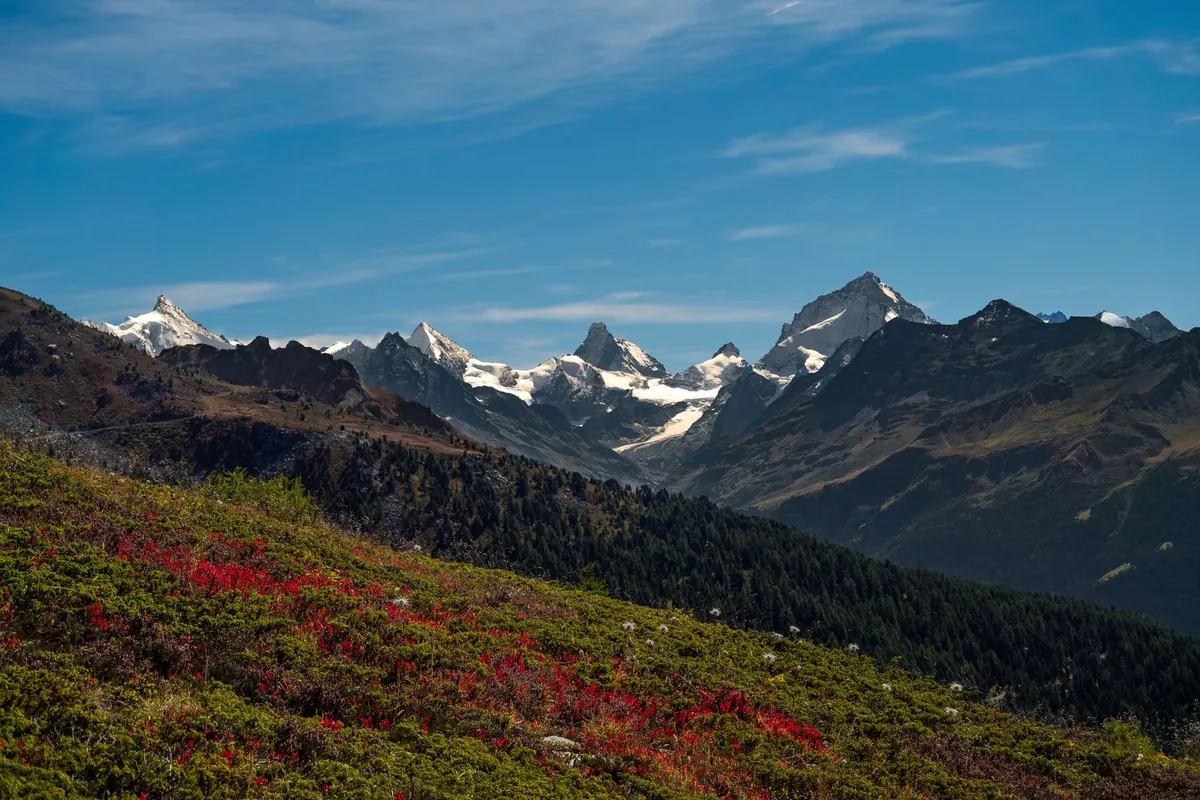 Wallis – Erwachsenenhotels & Adults-Only Hotels