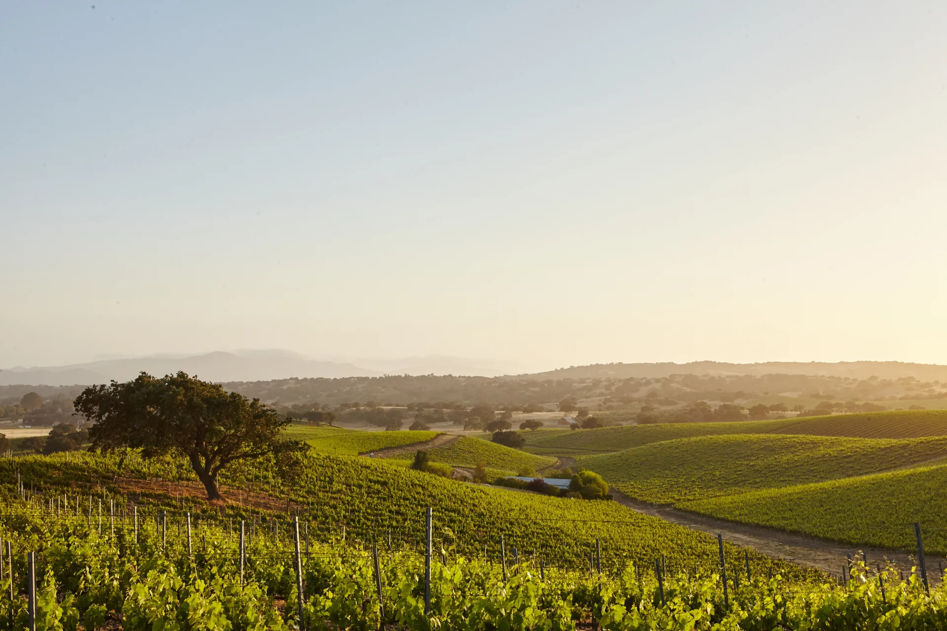 Piemont — Adults-Only Hotels